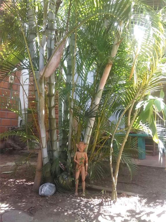 Hostel Bambu Tarapoto Exteriér fotografie